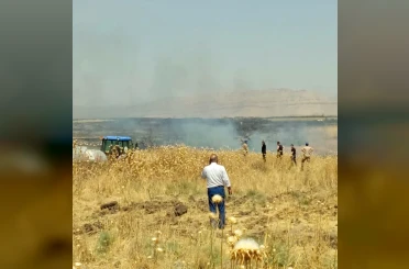 Mardin’de anız yangınına havadan ve karadan müdahale ediliyor 