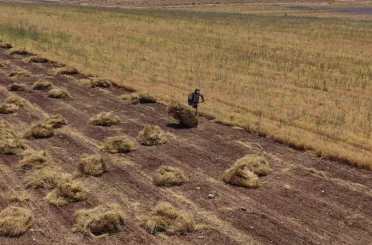 Mardin’de çiftçilerin yoğun mesaisi başladı 