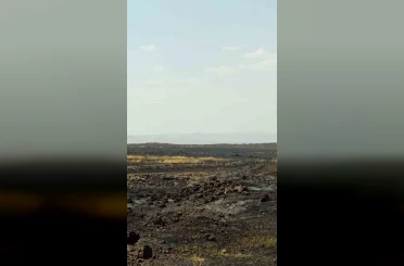 Mardin’de çıkan anız yangını söndürüldü 