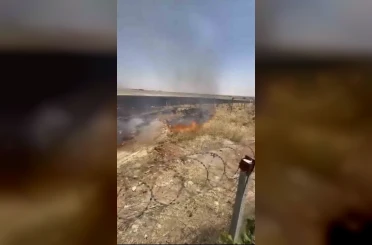 Mardin’de çıkan anız yangınına müdahale ediliyor 