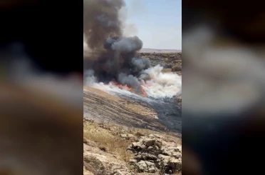 Mardin’de çıkan ot yangını söndürüldü 