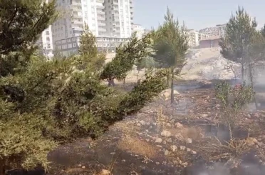 Mardin’de farklı noktalarda çıkan yangınlara müdahale sürüyor 