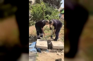 Mardin’de kuyuda görülen yılan doğaya bırakıldı 
