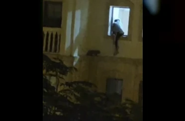 Mardin’de mahsur kalan kedi kurtarıldı 