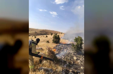Mardin’de örtü ve anız yangını söndürüldü 