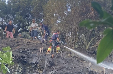 Marmara’da çıkan ot yangını ormana sıçramadan söndürüldü 