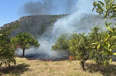 Marmaris’te otluk alan yangını 