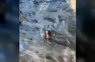Marmaris’te temizlenmeyen rögarda farenin yaşam savaşı 
