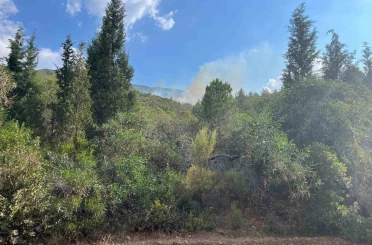 Marmaris’te yıldırım kaynaklı orman yangını 