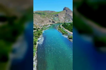 Martılar, Murat Nehri’nde görsel şölen oluşturdu 