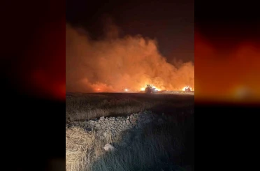 Mazıdağı’nda dün gece çıkan yangında ekili araziler zarar gördü 