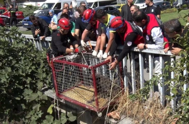 Menfezde mahsur kalan köpeği Başkan Bahadır kurtardı 