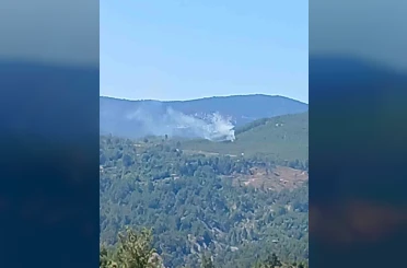 Menteşe’de orman yangını 