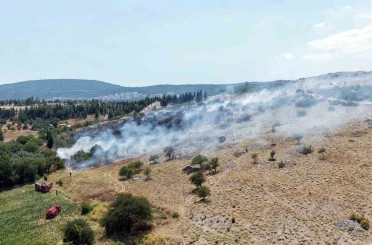 Menteşe’deki makilik yangını kontrol altına alındı 