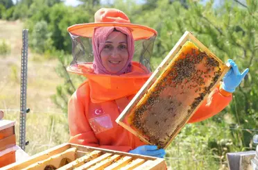 Merakı kadın girişimcinin mesleği oldu, ürettiği bal ve arı sütü için her hafta 900 kilometre yol kat ediyor
