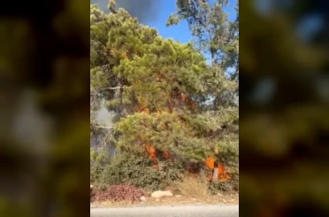 Mersin Erdemli’de orman yangını büyümeden söndürüldü 