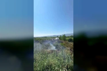 Mersin Mut’ta yangın: 15 dönüm bahçe zarar gördü 