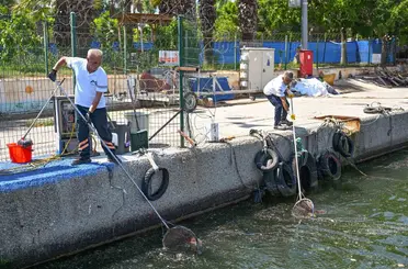 Mersin’de 53 kilometrelik kıyı şeridi 7/24 gözetim altında
