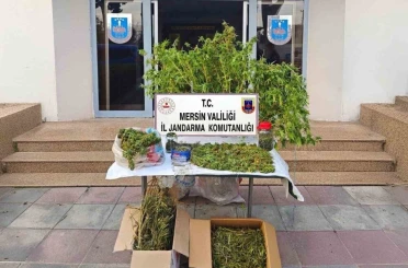 Mersin’de kenevir ekip uyuşturucu üreten şüpheli tutuklandı 