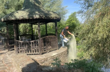 Mesire alanında haşere ve yılanlara karşı kükürt mesaisi 