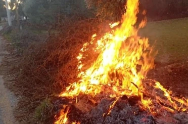 Milas’taki orman yangınları büyümeden söndürüldü 