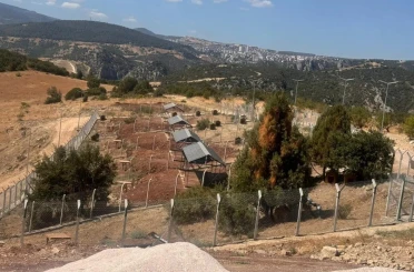 Milyonluk Sokak Hayvanları Doğal Yaşam Alanı ortada kaldı 
