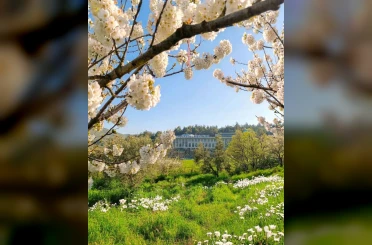 Mudanya Üniversitesi’ne 6 yeni bölüm daha 