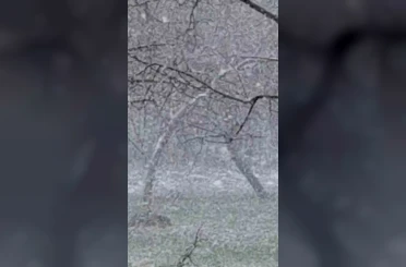 Mudurnu’da lapa lapa kar yağışı etkili oldu 