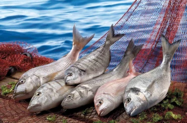 Muğla ihracatı Temmuz ayında yüzde 9 arttı 