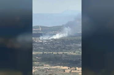 Muğla Menteşe’de orman yangını 
