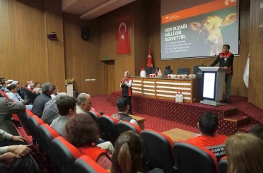 Muğla’da buzağı kayıplarını azaltmaya yönelik eğitimler başladı 