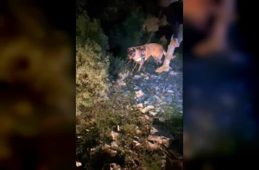 Muğla’da piyasa değeri 4 milyon TL olan uyuşturucu ele geçirildi 