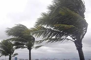 Muğla’nın 8 ilçesine ‘Fırtına’ uyarısı

