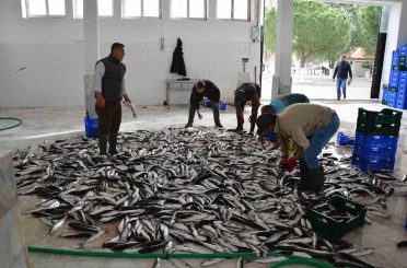 Muğla’nın Haziran ayı ihracatı 125,9 milyon dolar 