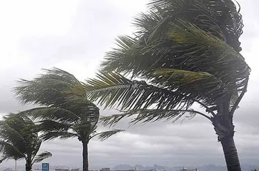 Muğla’nın iç kesimleri için kuvvetli rüzgar ve fırtına uyarısı
