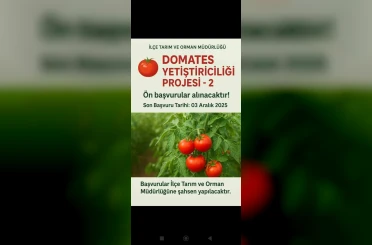 Muradiye’de "Domates Yetiştiriciliği" projesi için ön başvurular başladı 
