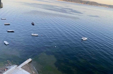 Müsilajın ardından Gemlik Körfezi’nde sevindiren görüntüler 
