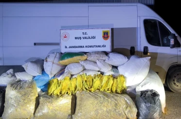 Muş’ta 1 ton 200 kilogram bandrolsüz tütün ele geçirildi 