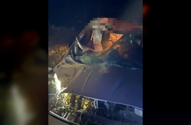 Muş’ta hafif ticari araç ata çarptı: 2 yaralı 