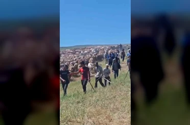 Muş’ta iki köy arasında ’arazi’ kavgası: 2 yaralı 