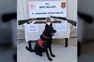 Muş’ta jandarmadan uyuşturucu ve silah operasyonu 