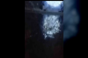 Muş’ta nehir kıyısında su samurları görüntülendi 