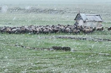 Muş’ta nisan karı etkisini sürdürüyor: 22 köy yolu ulaşıma kapandı 