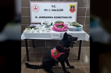 Muş’ta uyuşturucu operasyonu: 1 gözaltı 