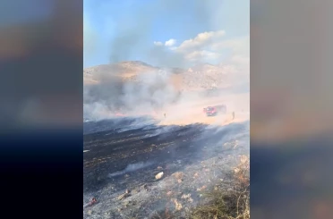 Nallıhan’da otluk alanda çıkan yangın söndürüldü 