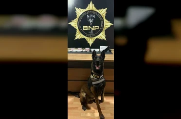 Narkotik köpeği ‘Pablo’ Bayburt’ta uyuşturucu tacirlerine geçit vermiyor 