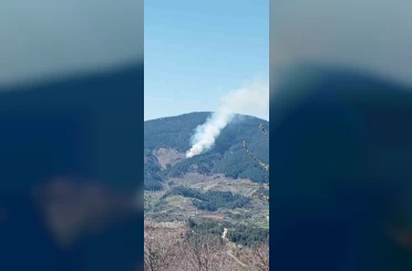 Nazilli’de orman yangını 