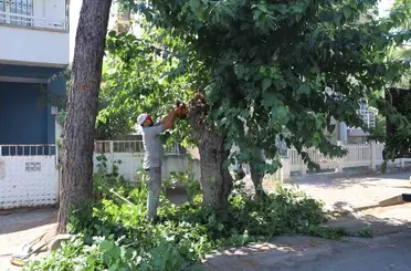 Nazilli’de yeşil alanlarda sonbahar hazırlığı
