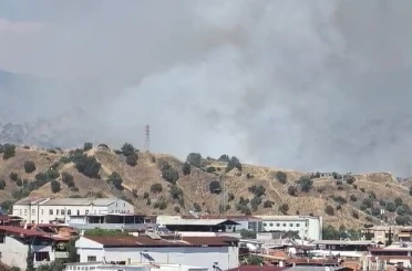 Nazilli’de zirai alan yangını 
