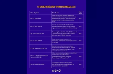 Niğde Ömer Halisdemir Üniversitesi akademisyenlerinden uluslararası yayın başarısı 